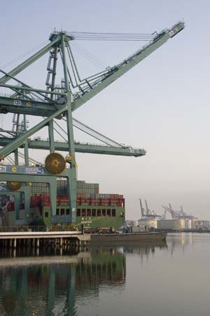 Container Cargo cranes 12