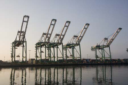 Container Cargo cranes 15