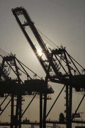 Container Cargo cranes 29