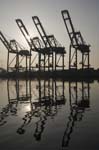 Container Cargo cranes 24