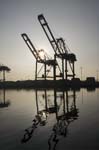 Container Cargo cranes 39