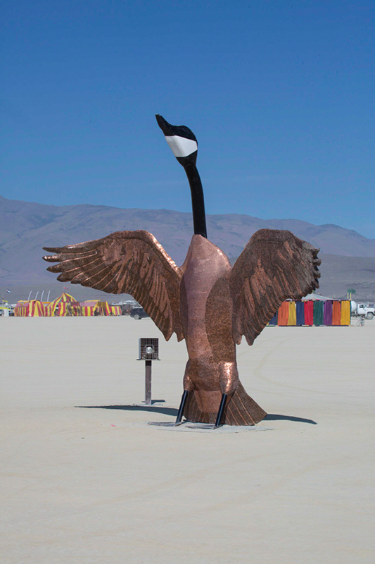 %_tempFileNameGoose%20sculpture%2002%