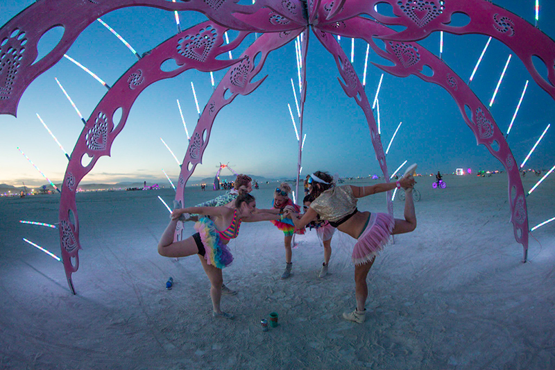 %_tempFileNamePorcupine%20sculpture%2007%