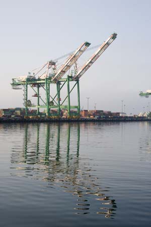 Container Cargo cranes 18