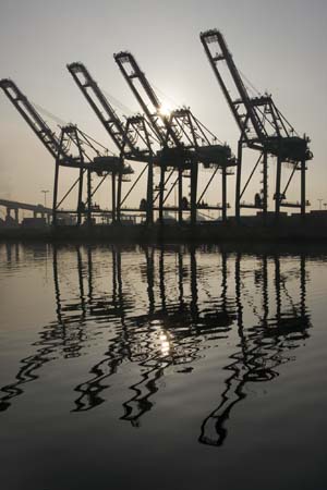 Container Cargo cranes 26