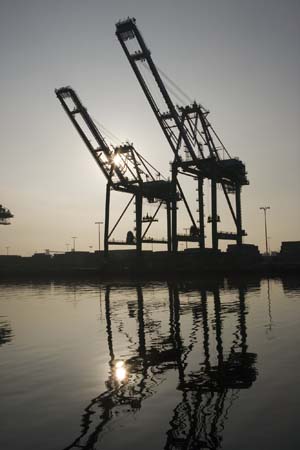 Container Cargo cranes 37