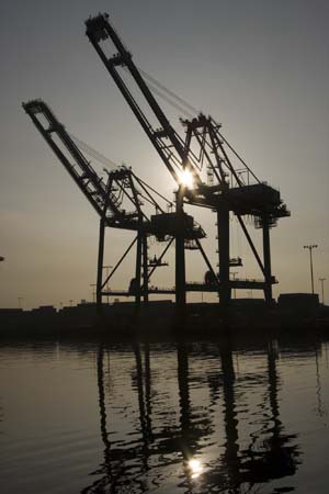 Container Cargo cranes 40