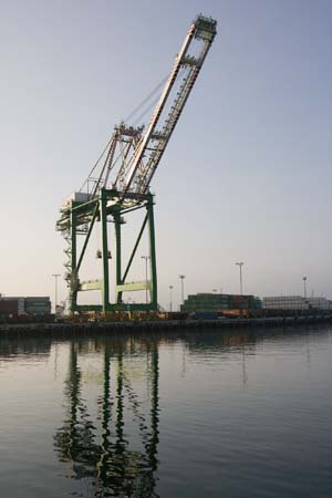 Container Cargo cranes 41